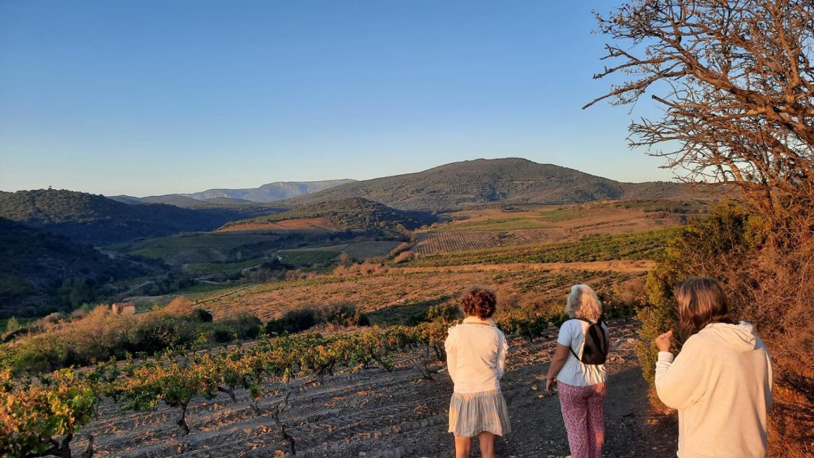 La Barbacane De Cascastel-des-Corbières Exterior foto